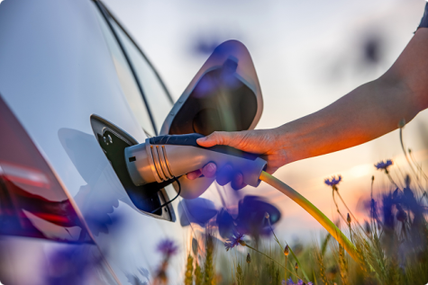 Elektriauto laadimine kevadel